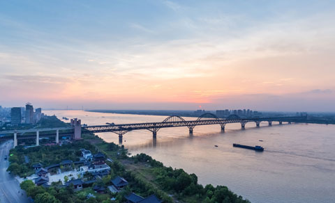 高端策劃型網站案例-中禹華水建設聯(lián)盟